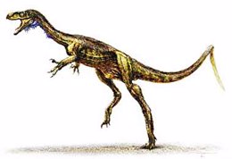 Eodromaeus, dinosaurio