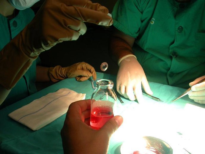 Transplante De Córneas