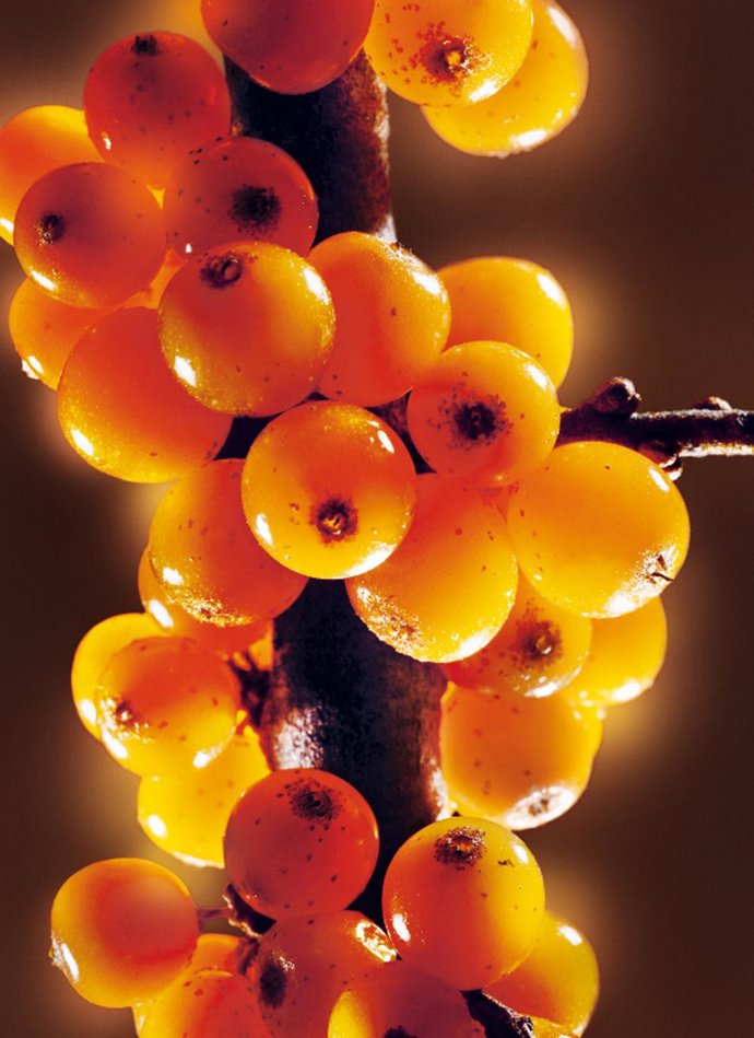 Imagen de Espino Amarillo, de Yves Rocher 