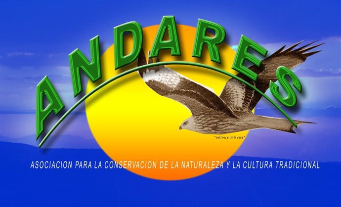 Informaciório De Rutidades De Andares