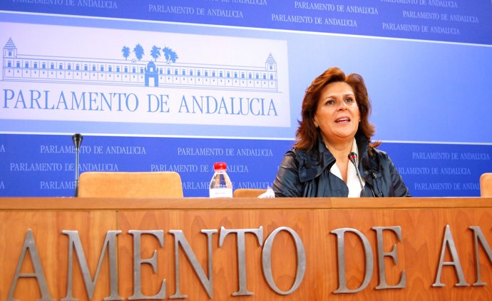 PSOE De Andalucía: Nota Y Foto Rueda De Prensa Rosa Torres 17 01 11