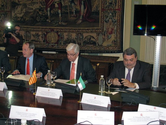 Arguilé en sectorial