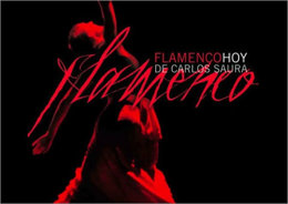 Flamenco Hoy