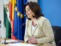 Junta considera un asunto "bastante técnico" el que plantea la sentencia de TSJA e insiste en su derecho a recurrir