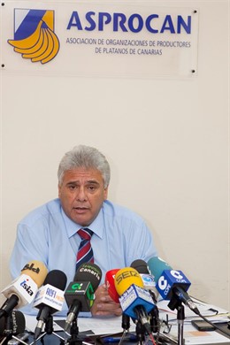 ASPROCAN Buscará Nuevos Mercados Para La Producción Platanera Que No Absorbe El 