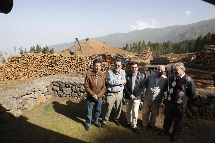 NOTA DE PRENSA Y FOTOGRAFÍA: MONTES PINAR