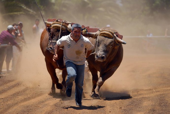 La Prueba Servirá Para El Encuentro De Los Ganaderos Canarios