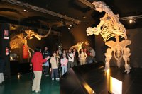 Dinópolis presenta su proyecto lúdico y científico como recurso turístico y dinamizador de Teruel