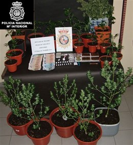 Rtdo. POLICIA NACIONAL DE AVILES DETIENE PAREJA DE PRESUNTOS TRAFICANTES DE COCA