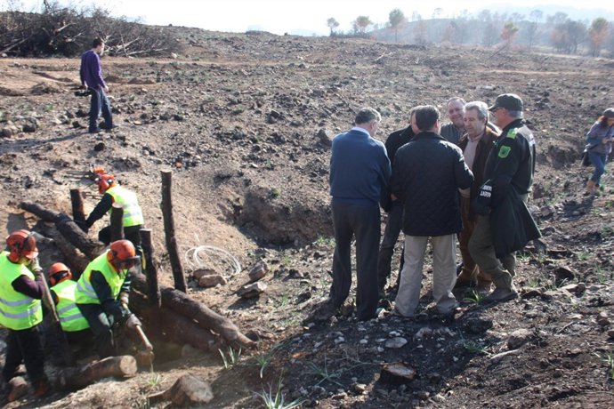 Imagen de la zona en la que se trabaja para recuperación ambiental