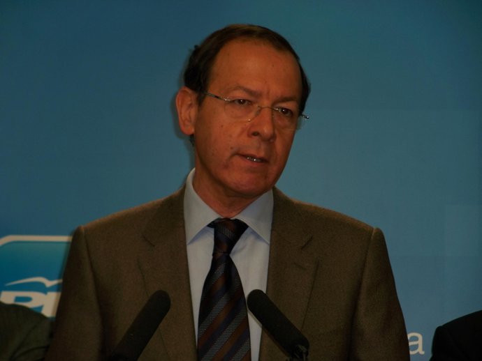 Imagen del secretario general del PP regional, Miguel Ángel Cámara