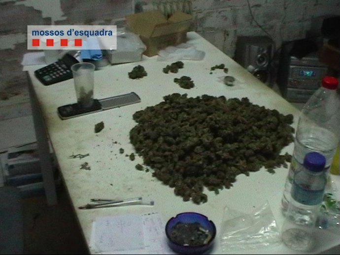 Marihuana decomisada