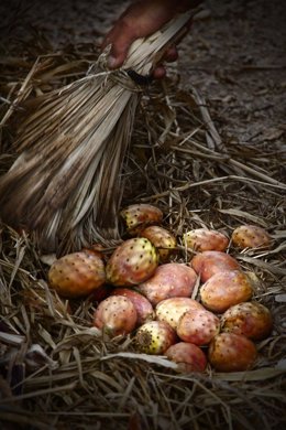 'Barriendo', foto ganadora del concurso de Asaga