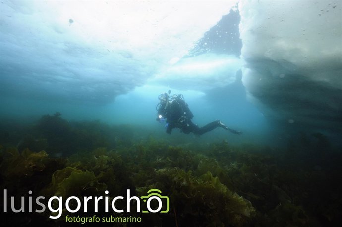 El fotógrafo y buceador Luis Gorricho.