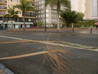 El MARM invierte 67,8 millones de euros para paliar los daños por temporales en Galicia y otras comunidades