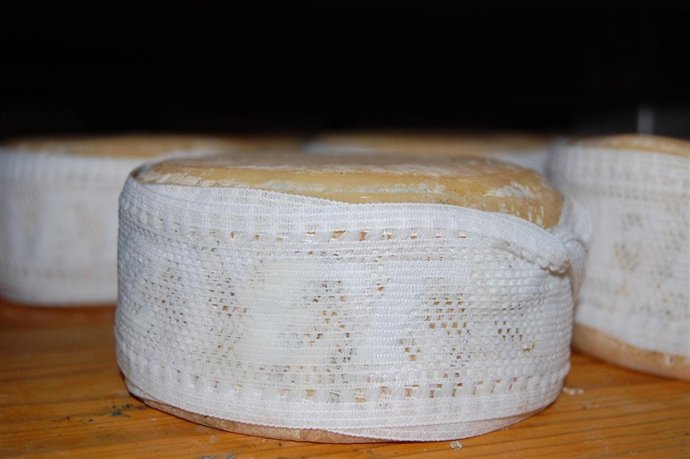 PRODUCCIÓN TORTA DE LA SERENA