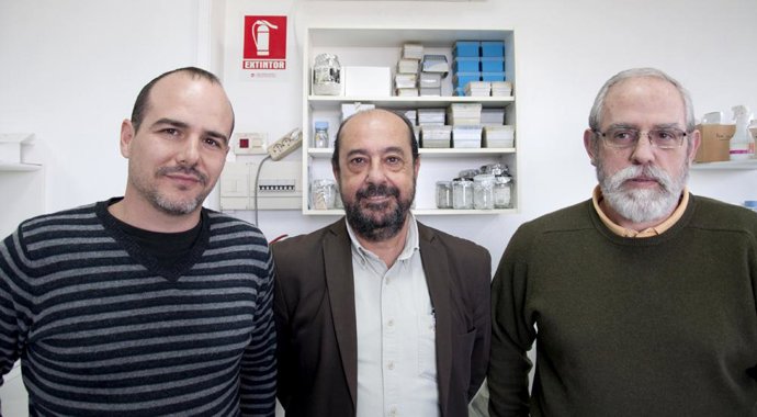 Rafael Garcés, Enrique Martínez Force y Joaquín Salas Liñam.
