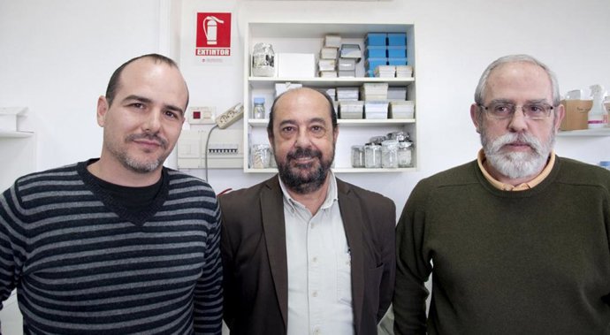 Rafael Garcés, Enrique Martínez Force y Joaquín Salas Liñam.