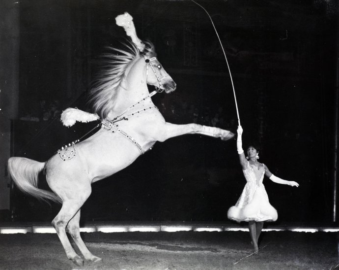 Paulina Andreu Rivel Schumann