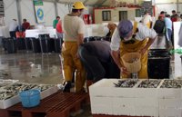 Pescadores andaluces esperan noticias "dentro de poco" del Acuerdo con Marruecos