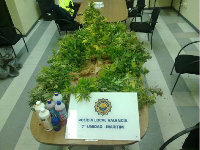 Material incautado por la Policía en Nazaret.