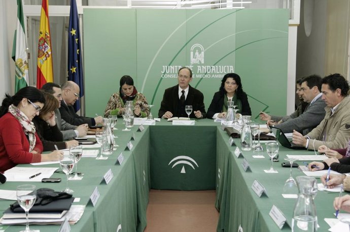El consejero José Juan Díaz Trillo en el Consejo Andaluz de Medio Ambiente