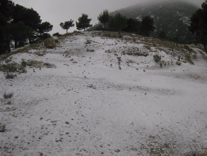 Nieve Paraje Sierra Espuña