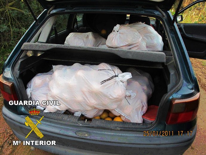 Rdo. Nota De Prensa Y Fotografía