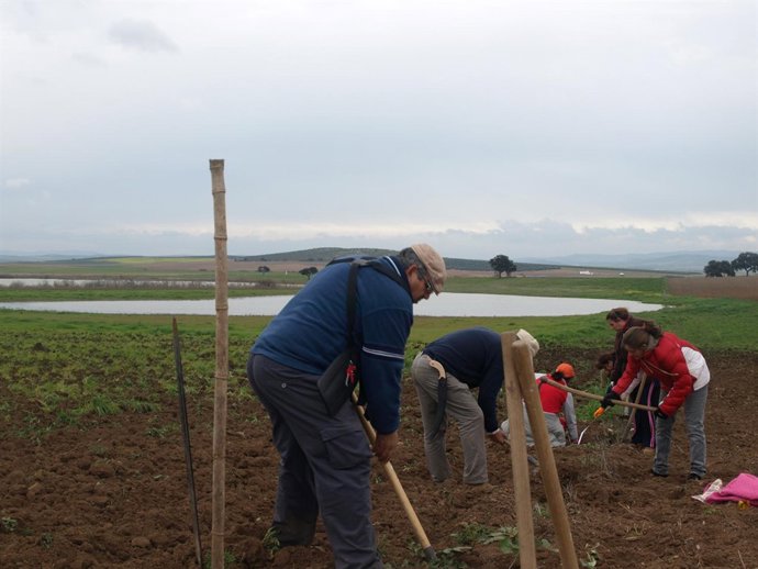 N.PRENSA COMIENZO ACTUACIONES EN LA FINCA LAS TURQUILLAS