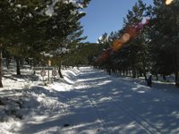 La nieve mantiene cerrado el Puerto de la Ragua y obliga al uso de cadenas para ir a la sierra