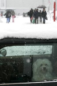 La nieve y el hielo en la red viaria dejan sin clase a 469 alumnos de 20 centros escolares de Ourense y Lugo