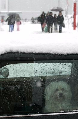 Temporal de nieve en España