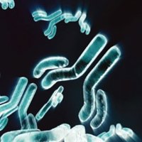 Empresas.- 'MabThera' (Roche), aceptado en España como terapia de mantenimiento para pacientes con linfoma folicular