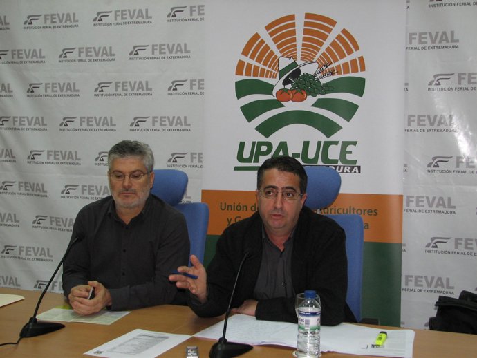 NP Agroexpo: Sectores Tomate Y Fruta