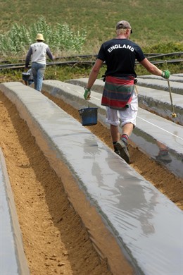 Plantaciones de fresas en Huelva