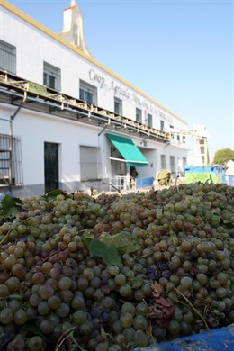Cooperativa agrícola productora de vino