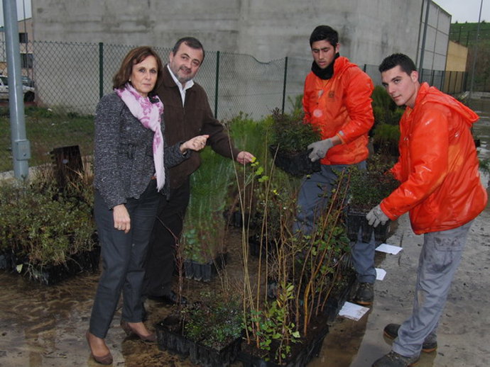 LA CONSERJERÍA DE MEDIO AMBIENTE, A TRAVÉS DEL CAAE, REPARTE 10.000 PLANTAS AUTÓ