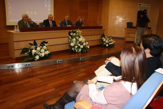 Nota Y Fotos: Paulino Plata Destaca La Capacidad De Transformación Del Patrimoni