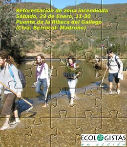 Sábado 29 De Enero. Reforestación Zona Incendiada Berrocal Madroño Y Visita Zona