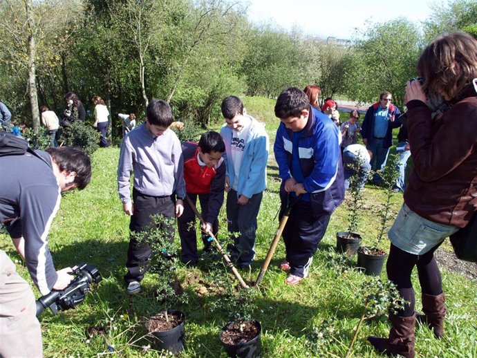 Campaña de repoblación forestal 