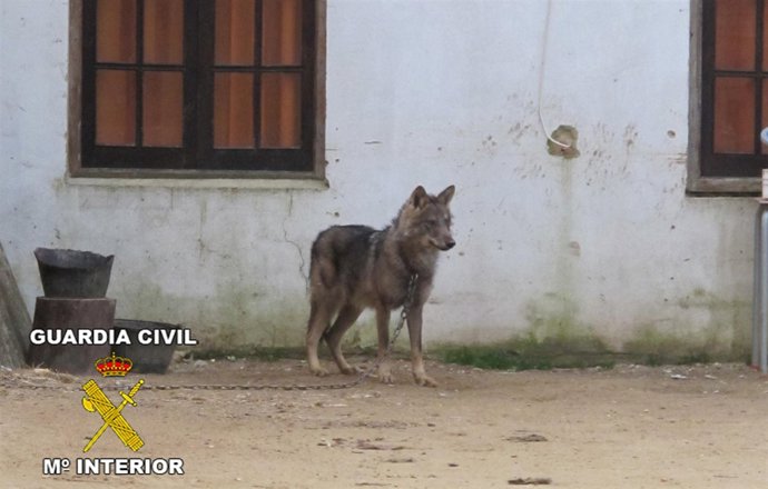 Rdo. Nota De Prensa Y Fotografía