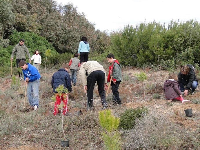 SERVICIO DEVESA ALBUFERA. PLANTACIÓN DÍA DEL ÁRBOL. NOTA PRENSA 2