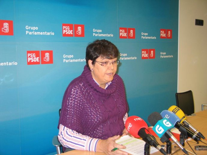 OS SOCIALISTAS DENUNCIAN A INSTITUCIONALIZACIÓN DA ESPECULACIÓN DO PELOTAZO CO P