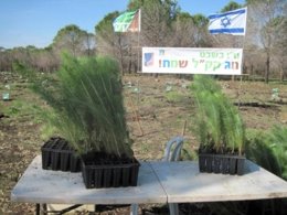 Plantación de árboles en Israel