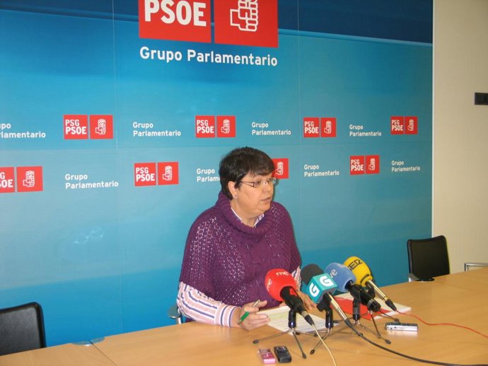 OS SOCIALISTAS DENUNCIAN A INSTITUCIONALIZACIÓN DA ESPECULACIÓN DO PELOTAZO CO P