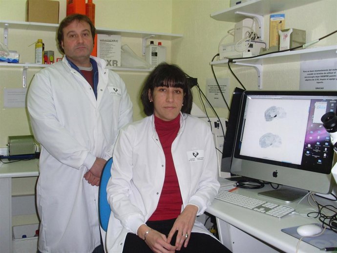 NOTA DE PRENSA Un Estudio Científico Relaciona Dieta Y Depresión