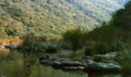 Imagen de Sierra Morena