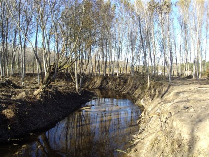 Aspecto del cauce del río Cega tras las obras
