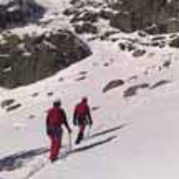 Búsqueda en Navacerrada