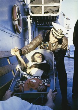 Ham, el chimpancé astronauta